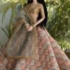 SAanVi Doll (pretty Indian bride)