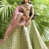 Aishwarya doll (pink and green bridal costume)