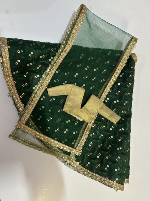 img_9811 Green lehenga with accessories for doll