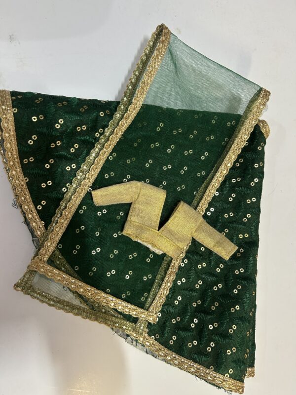 img_9812 Green lehenga with accessories for doll