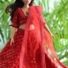 img_5568 Sparkly red lehenga for Doll