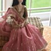 dsc_1833-2 Pink bridal saree for Barbie doll