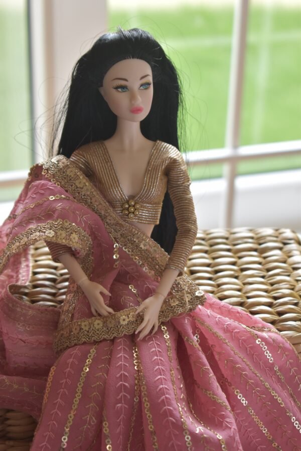 dsc_1834-2 Pink bridal saree for Barbie doll