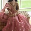 dsc_1835-2 Pink bridal saree for Barbie doll
