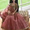dsc_1837-2 Pink bridal saree for Barbie doll